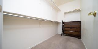 3980 N 162nd Lane Gallery 15