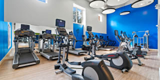 Ellipse at Fairfax Corner Gallery 19