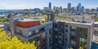 The Chloe Apartments Gallery 5