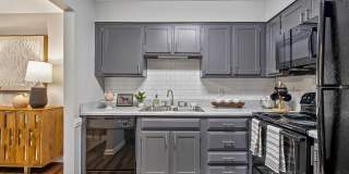 ReNew Breckenridge Gallery 1