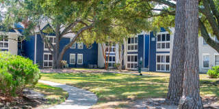 Willow Springs Gallery 48