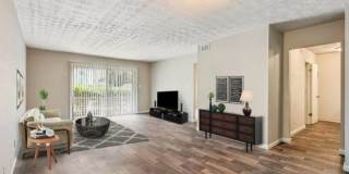 Park Valley Apartments Gallery 7