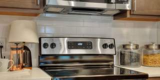 Alder Walk Gallery 25