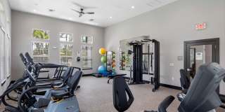 Ekos at Arbor Park - Senior Housing Gallery 6