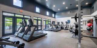 The Churchill Gallery 25