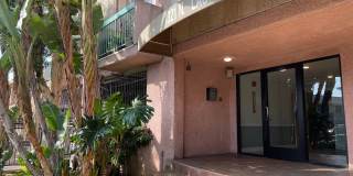 Las Palmas Apartments Gallery 14