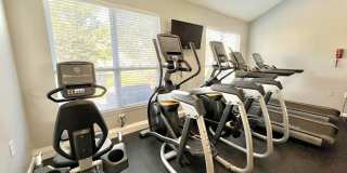 Brook View Gallery 24