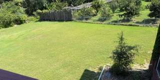 124 Oak Bend Loop Gallery 39