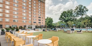 Potomac Towers Gallery 15