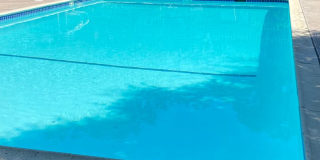 Pleasanton Laguna Vista 2 Bed / 1 bath, updated kitchen & bathroom, Two Year Lease required, Community Pool! Gallery 19