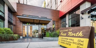 True North Gallery 9