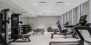 The Katharine Gallery 14