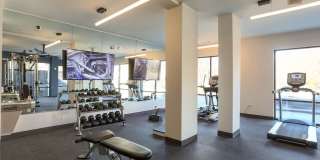 The Patton Gallery 50