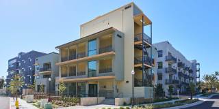 The Willows Gallery 21