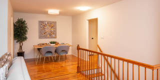 Hampton Gardens Gallery 12