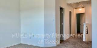 22813 Agave Grove Dr. Gallery 19
