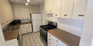 77 Pond Ave. Gallery 2