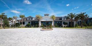 Alta Citron Gallery 6