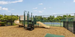 The Austin Gallery 8