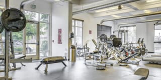 Avida Apartments Gallery 35