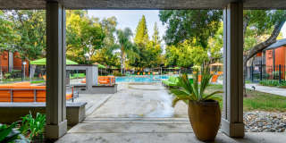 The Falls at Arden Gallery 39