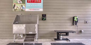 NoHo Flats Gallery 50