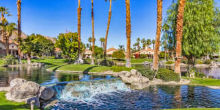 79840 Arnold Palmer Gallery 10