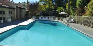 11337 Avenida De Los Lobos Gallery 22