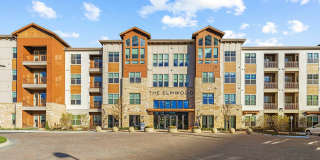 The Elmwood Gallery 24