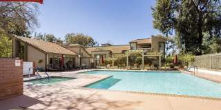 769 Birchpark Cir Apt 101 Gallery 11