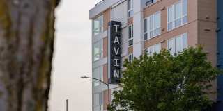 Tavin Gallery 24