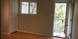 Brentwood Terrace Gallery 3