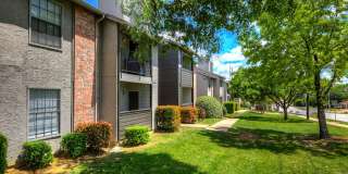 Canyon Grove Gallery 9