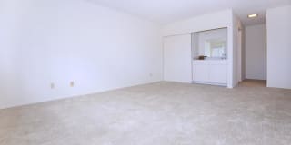 Emerald Victoria Apartments Gallery 26