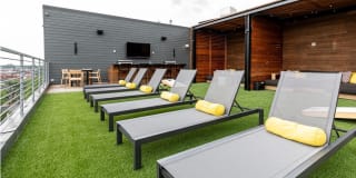 The Novella Gallery 3