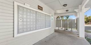 Polo Club Polo Club Gallery 32