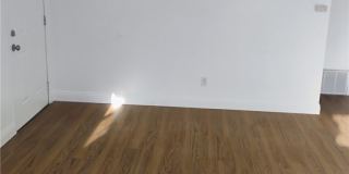 21862 Dracaea Gallery 5