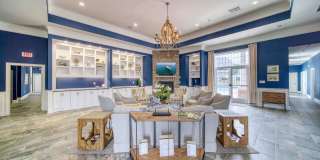 Meridian Obici Gallery 14