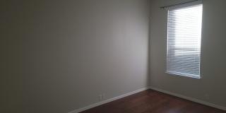 16006 Sight Scape Gallery 16