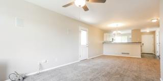 Charming 3bd/2ba Single-Level Home with Spacious Yard - FREE iPad or 55” TV if moved in by 5/15! Gallery 5