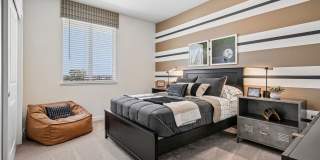 Echo Paired Homes Gallery 30