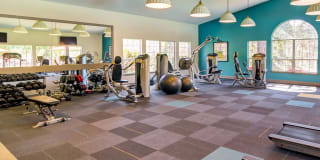 Sofi at Murrayhill Gallery 17