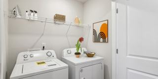 Poplar Row Gallery 17