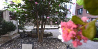 1245 13TH Street NW Gallery 21