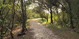 1664 STARLING DRIVE Gallery 52