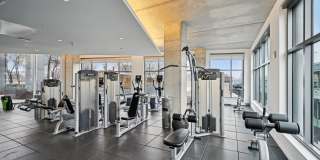 Bridge on Race Gallery 14