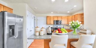 7076 N Sunrise Gallery 4