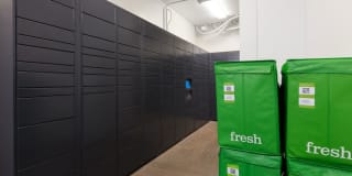 Avalon Dogpatch Gallery 26