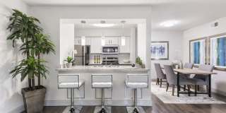 The Adalene Gallery 2