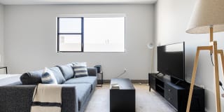 The Mansfield at Miracle Mile Gallery 102